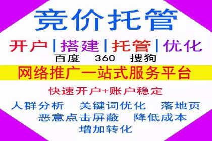 SEM推广策略：成功案例解析